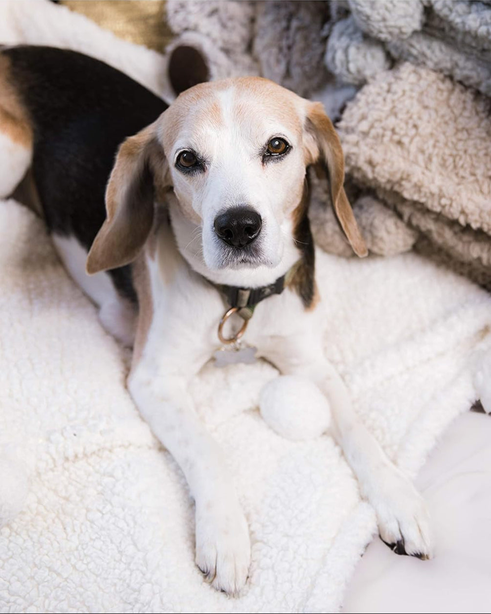 Craft and Kin Plush Blanket | Fleece Blanket White Plush Blanket | Throw Blanket Perfect Blankets and Throws | Ideal Fluffy Blanket Couch Blanket and Bed Blanket (White Pom Pom)